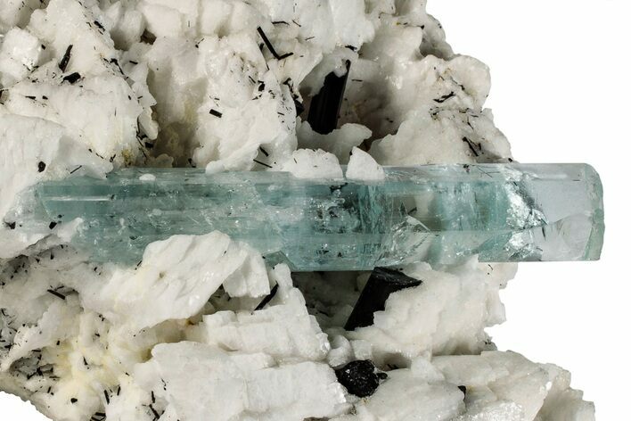 Stunning, Aquamarine, Tourmaline & Albite Association - Pakistan #198236